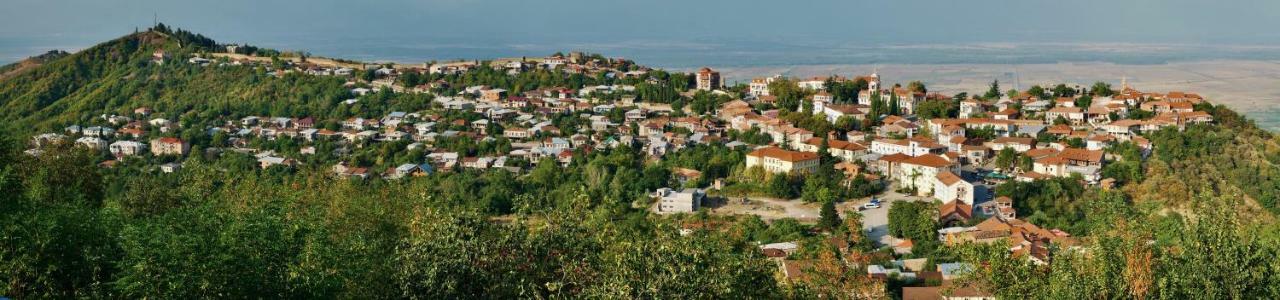 Guesthouse Fatima Sighnaghi Exterior photo