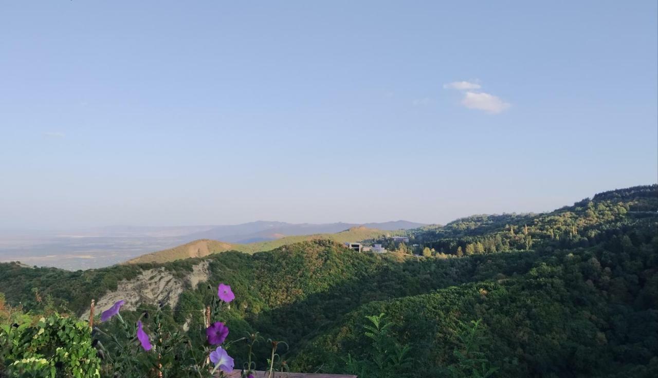Guesthouse Fatima Sighnaghi Exterior photo